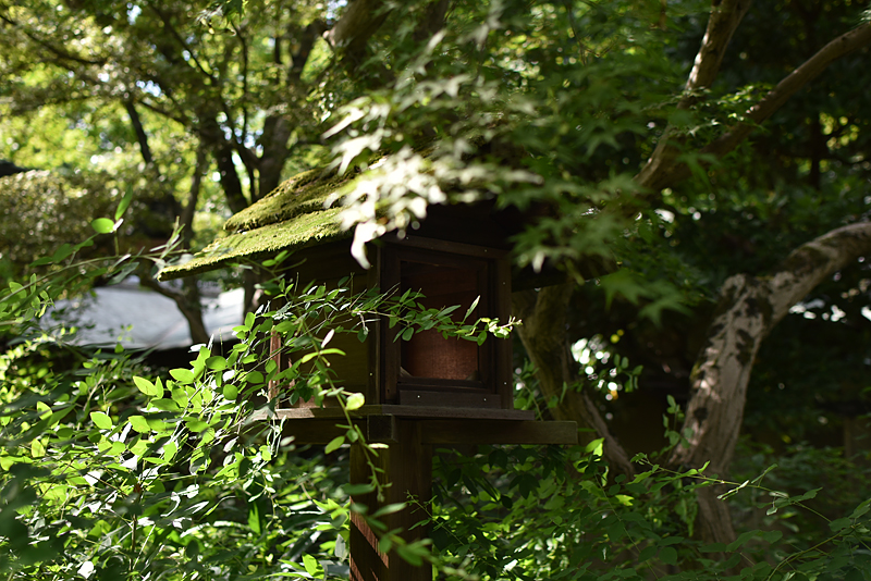 梨木神社03