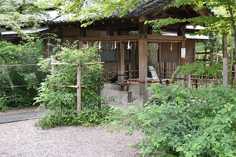 梨木神社07