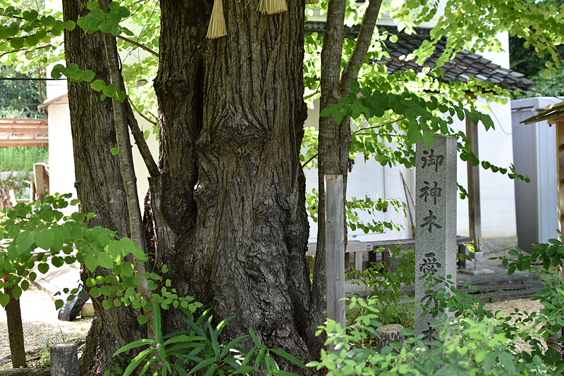 梨木神社08